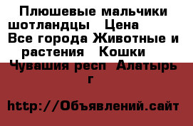 Плюшевые мальчики шотландцы › Цена ­ 500 - Все города Животные и растения » Кошки   . Чувашия респ.,Алатырь г.